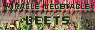 Himeji Beet Project